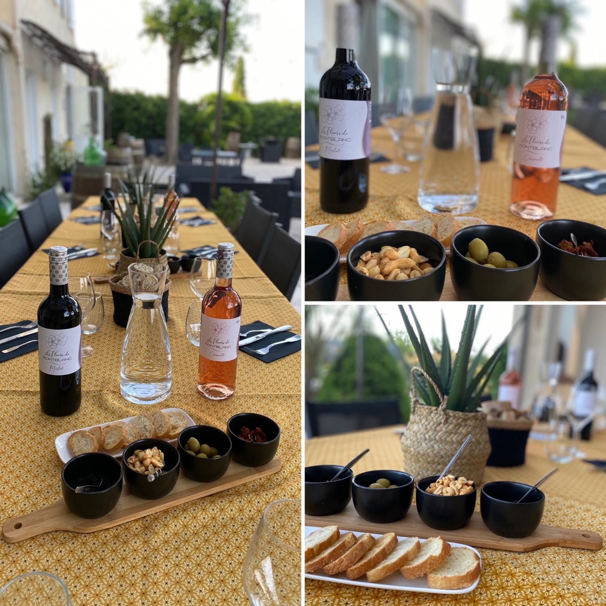 A L'Oree Des Vignes Montady Zewnętrze zdjęcie